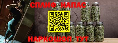 ПСИЛОЦИБИНОВЫЕ ГРИБЫ Северобайкальск