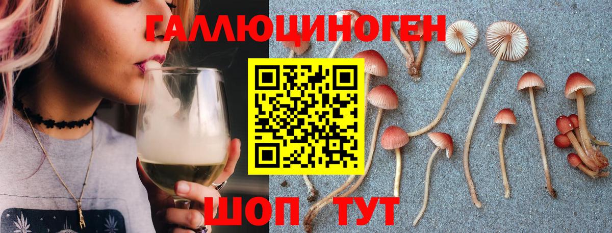 Серпухов  Галлюциногенные грибы Psilocybe  Вход с VPN 
